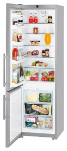 Характеристики Холодильник Liebherr CNsl 4003 фото