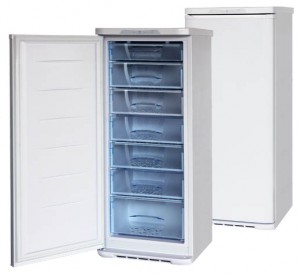 özellikleri Buzdolabı Бирюса 146 fotoğraf