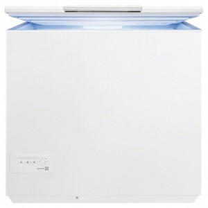 đặc điểm Tủ lạnh Electrolux EC 2800 AOW ảnh