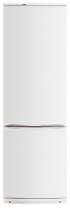 katangian Refrigerator ATLANT ХМ 6021-031 larawan