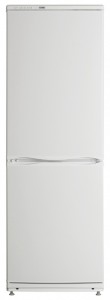 Charakteristik Kühlschrank ATLANT ХМ 6024-031 Foto