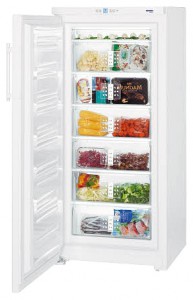 đặc điểm Tủ lạnh Liebherr G 3013 ảnh