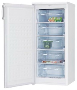 Характеристики Холодильник Hansa FZ206.3 фото