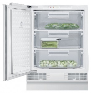 özellikleri Buzdolabı Gaggenau RF 200-202 fotoğraf