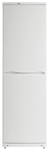 katangian Refrigerator ATLANT ХМ 6093-031 larawan