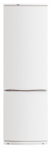 Charakteristik Kühlschrank ATLANT ХМ 6091-031 Foto