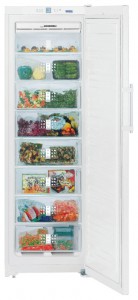 Характеристики Холодильник Liebherr SGN 3010 фото