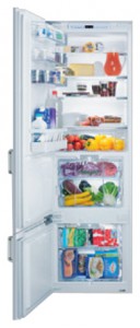 Charakteristik Kühlschrank V-ZUG KCi-r Foto