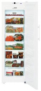 özellikleri Buzdolabı Liebherr SGN 3063 fotoğraf