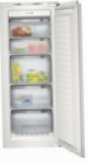Siemens GI25NP60 Refrigerator aparador ng freezer