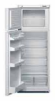 Charakteristik Kühlschrank Liebherr KDS 2832 Foto