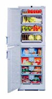 Характеристики Холодильник Liebherr BGND 2986 фото