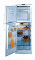 Charakteristik Kühlschrank Indesit RA 36 Foto