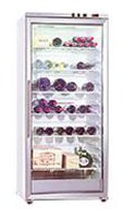katangian Refrigerator Gaggenau SK 211-141 larawan