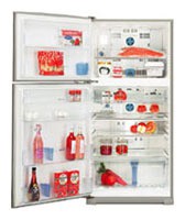 Charakteristik Kühlschrank Sharp SJ-P59MGL Foto