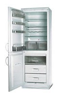 Charakteristik Kühlschrank Snaige RF310-1703A Foto