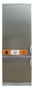 Charakteristik Kühlschrank Snaige RF315-1573A Foto