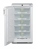 đặc điểm Tủ lạnh Liebherr GSS 2226 ảnh