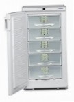 Liebherr GSS 2226 Fridge freezer-cupboard