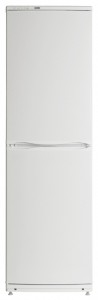 Charakteristik Kühlschrank ATLANT ХМ 6023-100 Foto