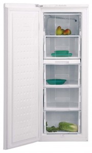 Charakteristik Kühlschrank BEKO FSE 21906 Foto
