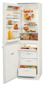 Charakteristik Kühlschrank ATLANT МХМ 1805-35 Foto