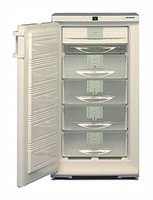 характеристики Холодильник Liebherr GSN 2023 Фото