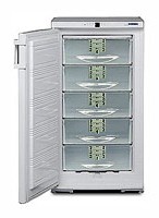 özellikleri Buzdolabı Liebherr GSP 2226 fotoğraf