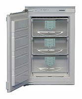 Charakteristik Kühlschrank Liebherr GI 1023 Foto