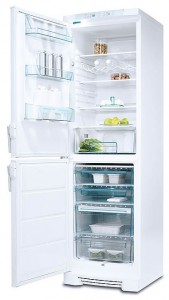 katangian Refrigerator Electrolux ERB 3911 larawan