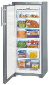Charakteristik Kühlschrank Liebherr GNsl 2323 Foto