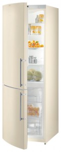 đặc điểm Tủ lạnh Gorenje RK 60355 DC ảnh