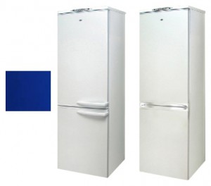 Charakteristik Kühlschrank Exqvisit 291-1-5404 Foto