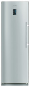 Charakteristik Kühlschrank Samsung RR-92 EERS Foto