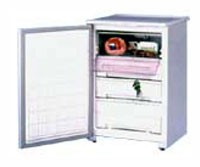 özellikleri Buzdolabı Бирюса 90C fotoğraf