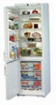 Liebherr KGTes 4036 Ledusskapis ledusskapis ar saldētavu