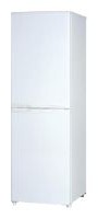 Charakteristik Kühlschrank Daewoo Electronics RFB-250 WA Foto