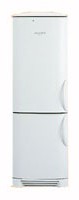 Charakteristik Kühlschrank Electrolux ENB 3669 Foto
