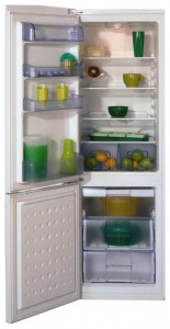 Charakteristik Kühlschrank BEKO CSK 29000 Foto