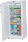 Liebherr GN 2156 Fridge freezer-cupboard