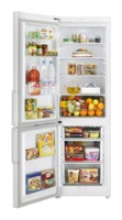 Charakteristik Kühlschrank Samsung RL-39 THCSW Foto