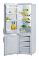 Charakteristik Kühlschrank Gorenje RK 4295 E Foto