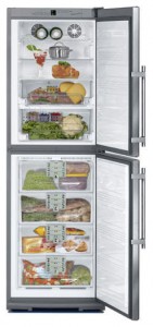 Charakteristik Kühlschrank Liebherr BNes 2956 Foto