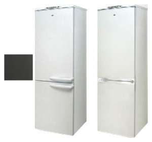 katangian Refrigerator Exqvisit 291-1-810,831 larawan
