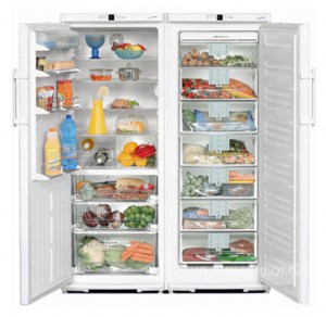 Charakteristik Kühlschrank Liebherr SBS 6102 Foto
