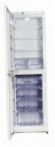 Snaige RF35SM-S10001 Ledusskapis ledusskapis ar saldētavu