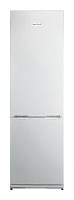 Charakteristik Kühlschrank Snaige RF36SM-S10021 Foto