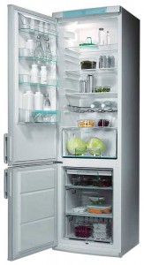 katangian Refrigerator Electrolux ERB 9043 larawan