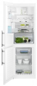 özellikleri Buzdolabı Electrolux EN 3454 NOW fotoğraf