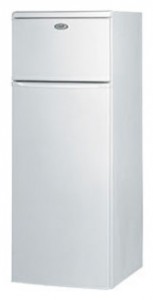 özellikleri Buzdolabı Whirlpool ARC 2210 fotoğraf